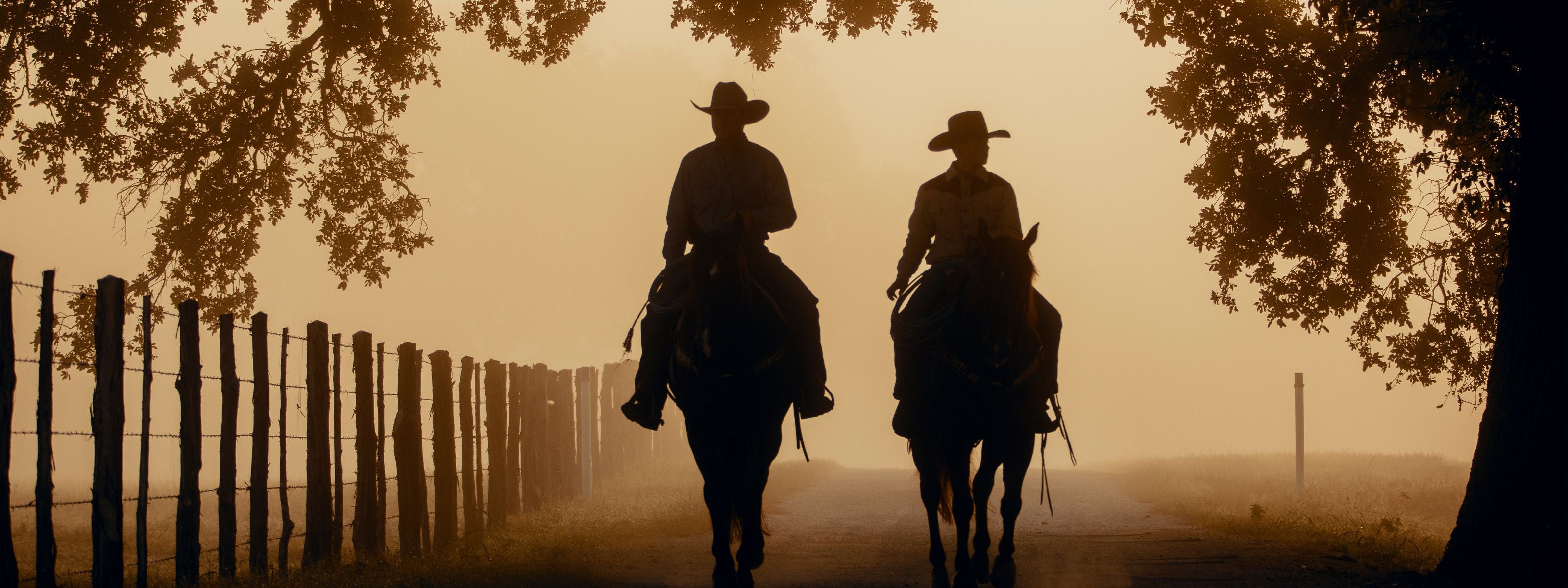 Men's Stetson Hats