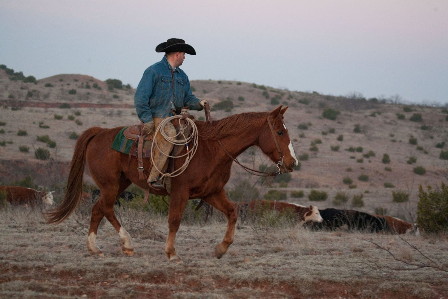 The History of Resistol Cowboy Hats: An American Legacy