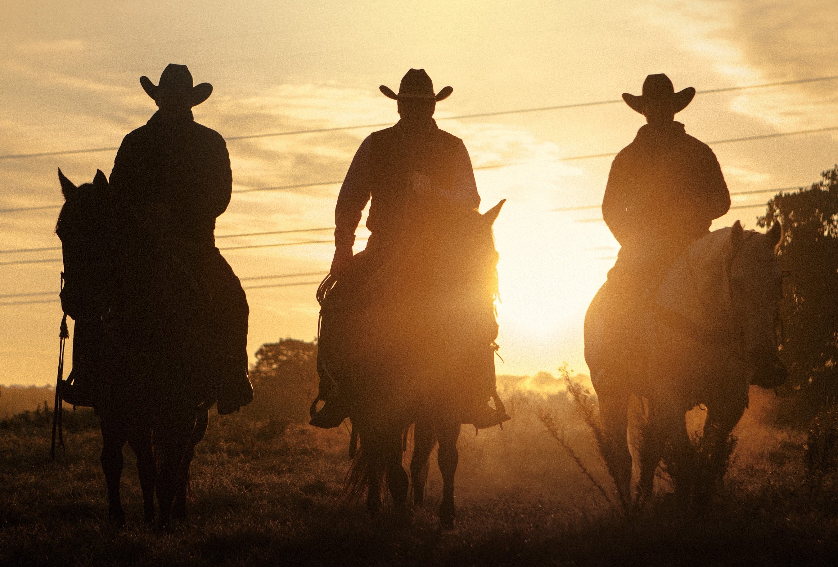 The Best Materials for Cowboy Hats: Felt vs. Straw vs. Leather