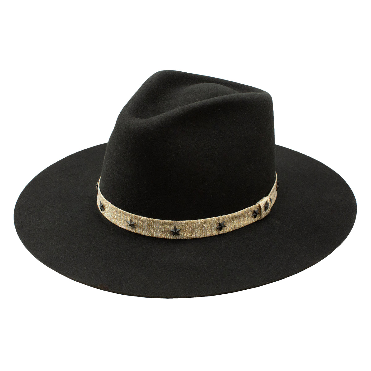 Lainey Wilson Fly Me To The Stars