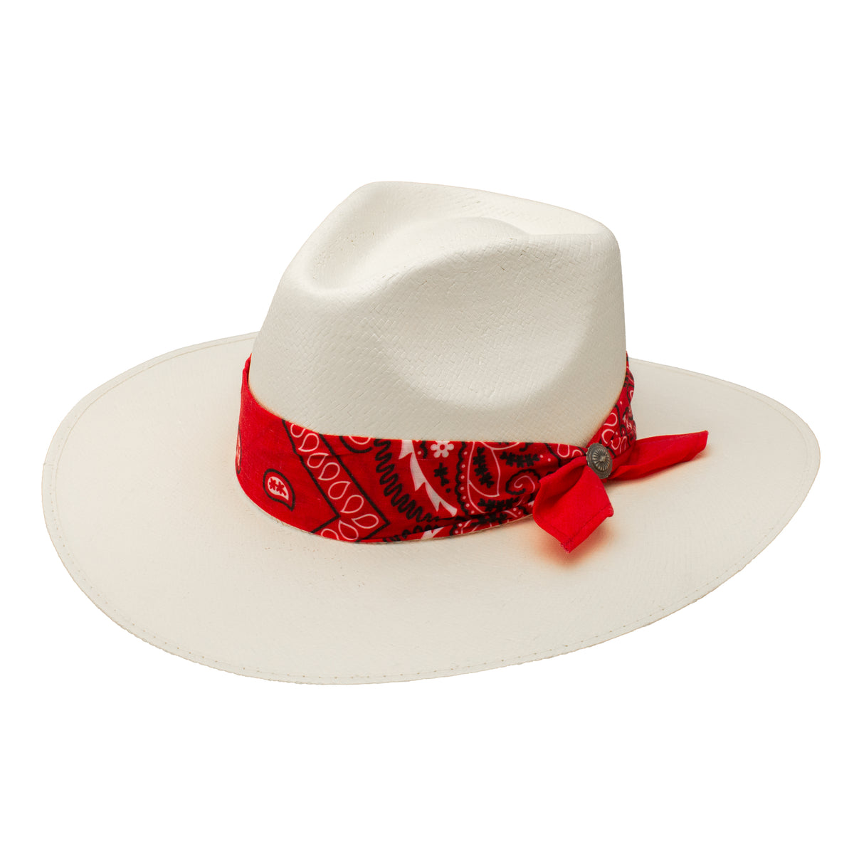 Lainey Wilson Dreamcatcher by Charlie 1 Horse